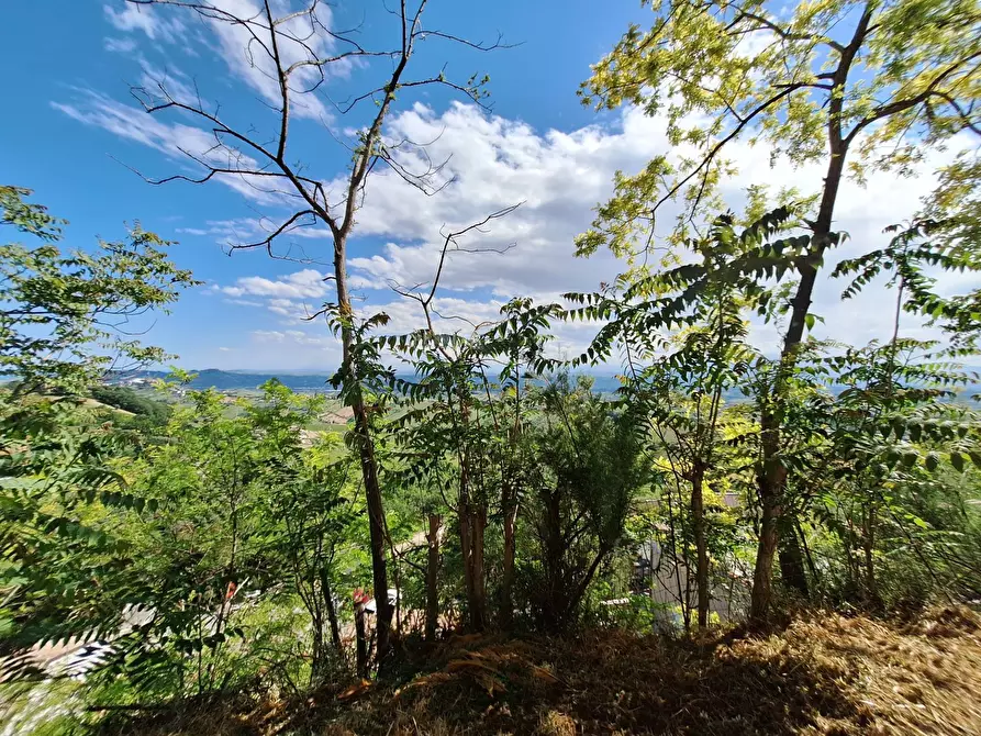 Immagine 13 di Appartamento in vendita  in Piazza del forte a Acquaviva Picena