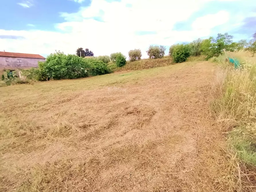 Immagine 8 di Rustico / casale in vendita  in contrada spiagge a Monteprandone