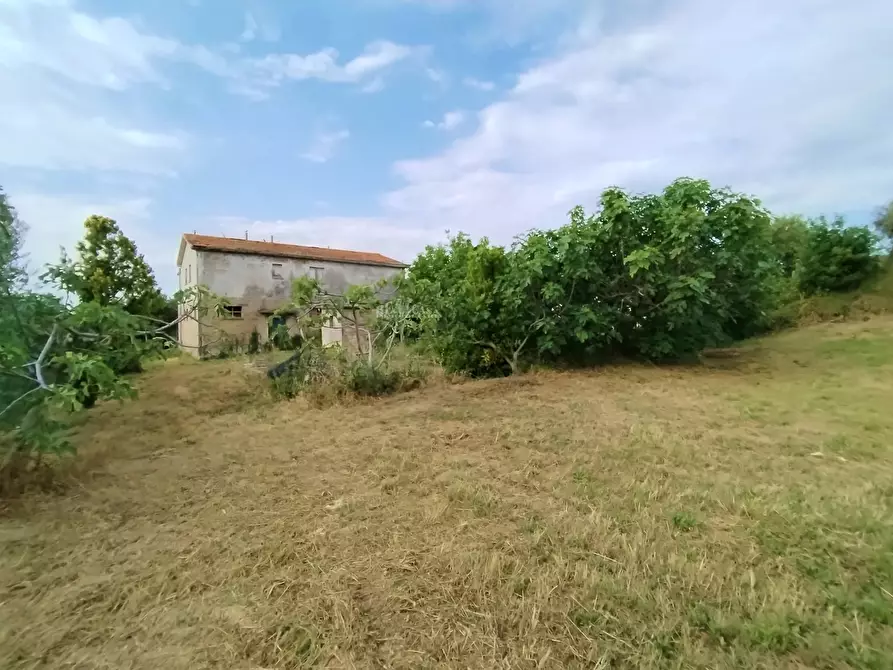 Immagine 6 di Rustico / casale in vendita  in contrada spiagge a Monteprandone