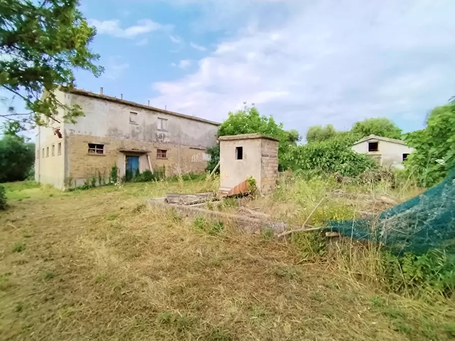 Immagine 4 di Rustico / casale in vendita  in contrada spiagge a Monteprandone