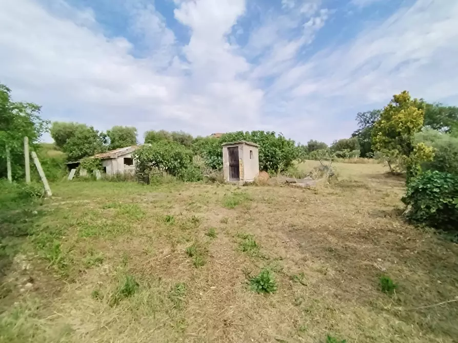 Immagine 7 di Rustico / casale in vendita  in contrada spiagge a Monteprandone