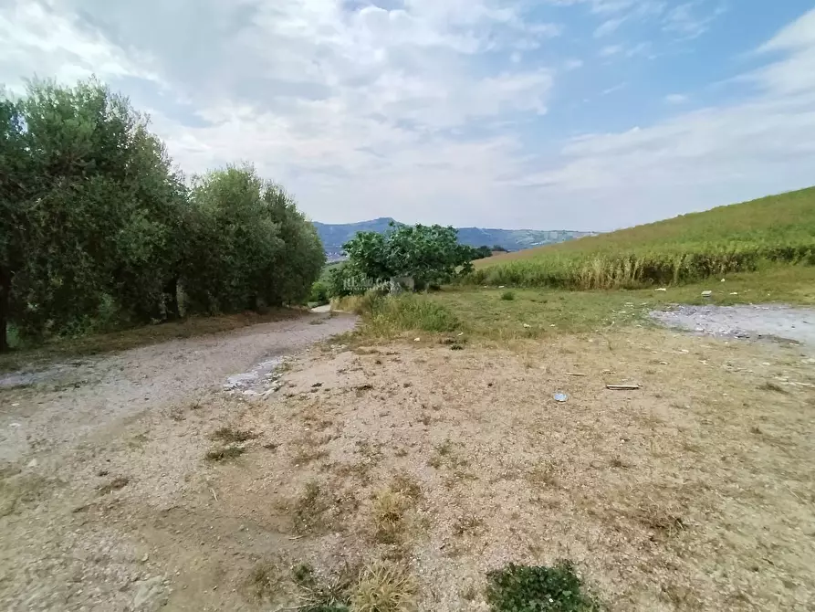 Immagine 11 di Rustico / casale in vendita  in contrada spiagge a Monteprandone