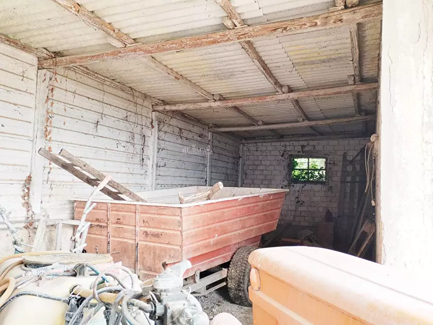 Immagine 17 di Rustico / casale in vendita  in contrada spiagge a Monteprandone