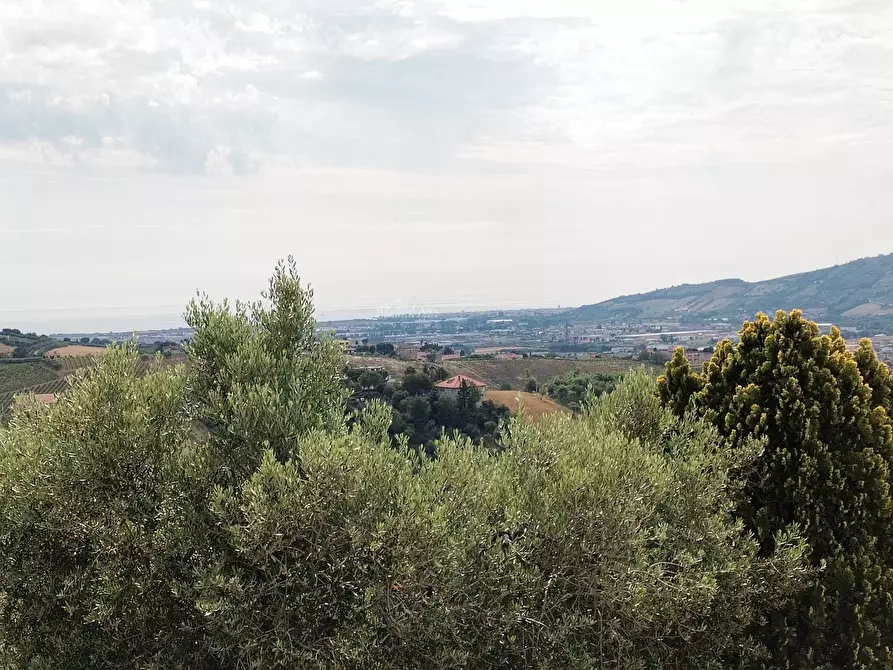 Immagine 23 di Rustico / casale in vendita  in contrada spiagge a Monteprandone