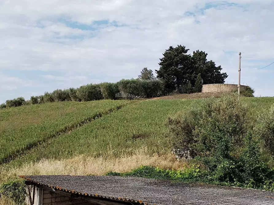 Immagine 26 di Rustico / casale in vendita  in contrada spiagge a Monteprandone