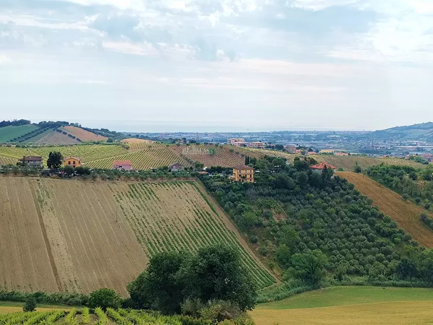 Immagine 25 di Rustico / casale in vendita  in contrada spiagge a Monteprandone