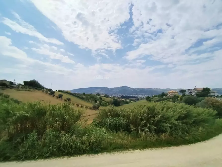 Immagine 9 di Rustico / casale in vendita  in contrada spiagge a Monteprandone