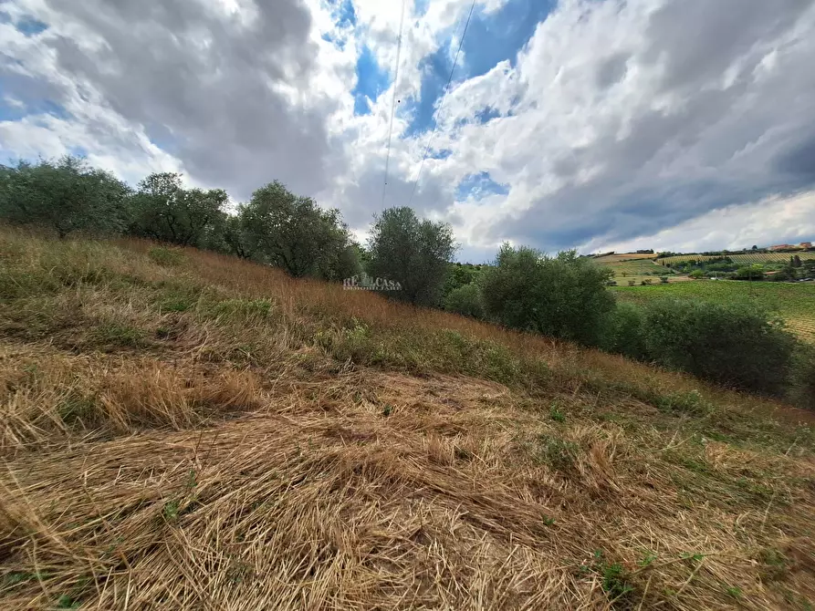 Immagine 21 di Rustico / casale in vendita  in via pietro nenni a Spinetoli