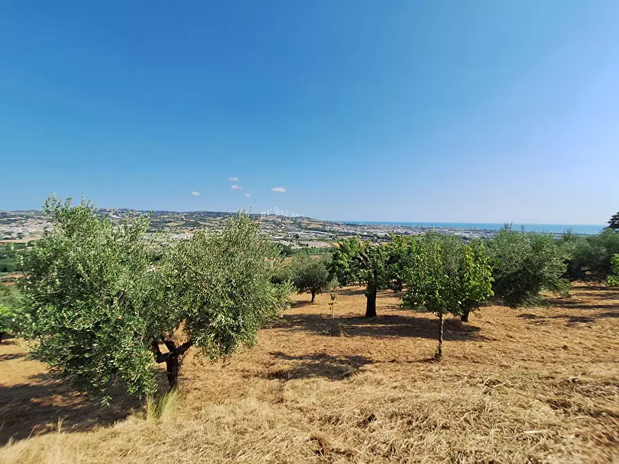 Immagine 1 di Terreno agricolo in vendita  in contrada san giovanni a Colonnella