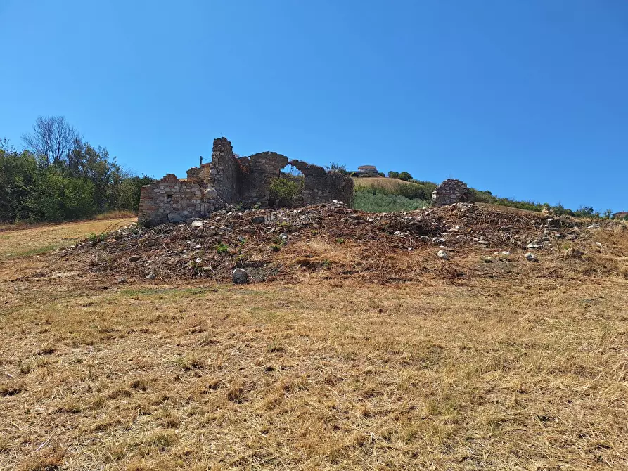 Immagine 7 di Rustico / casale in vendita  in via di traina a Maltignano