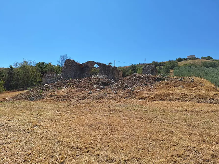 Immagine 8 di Rustico / casale in vendita  in via di traina a Maltignano