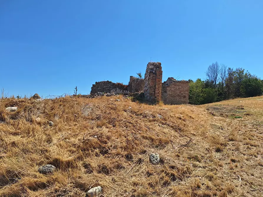 Immagine 11 di Rustico / casale in vendita  in via di traina a Maltignano