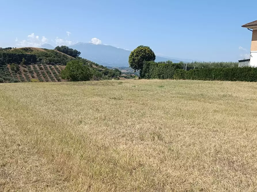 Immagine 1 di Terreno residenziale in vendita  in via palazzi a Castorano