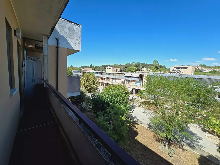 Immagine 21 di Appartamento in vendita  in Via Degli Oleandri a Monteprandone