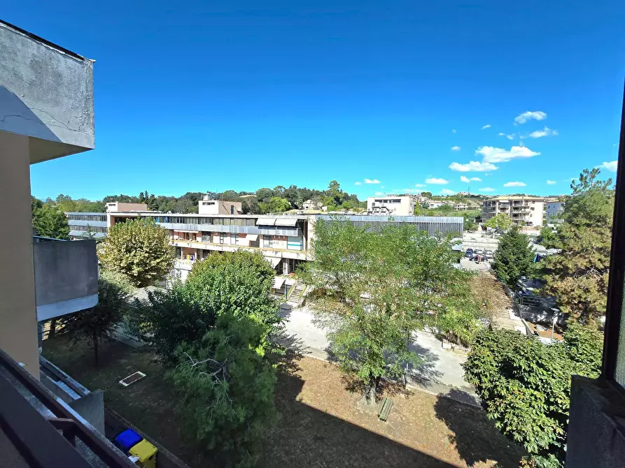 Immagine 22 di Appartamento in vendita  in Via Degli Oleandri a Monteprandone