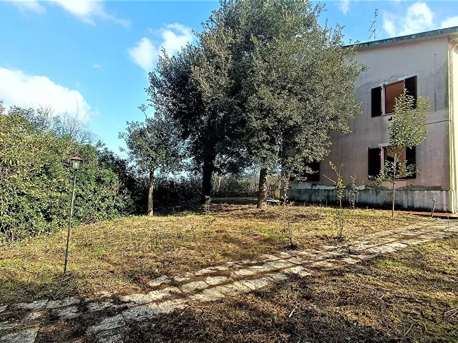 Immagine 2 di Casa indipendente in vendita  in strada provinciale 91 a Montefiore Dell'aso