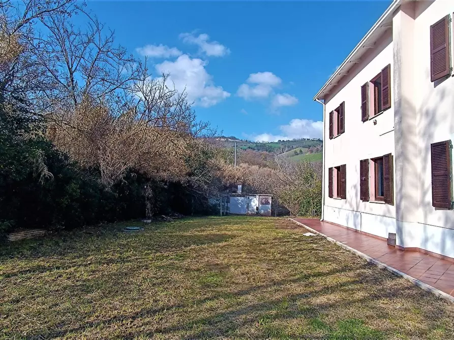 Immagine 3 di Casa indipendente in vendita  in strada provinciale 91 a Montefiore Dell'aso