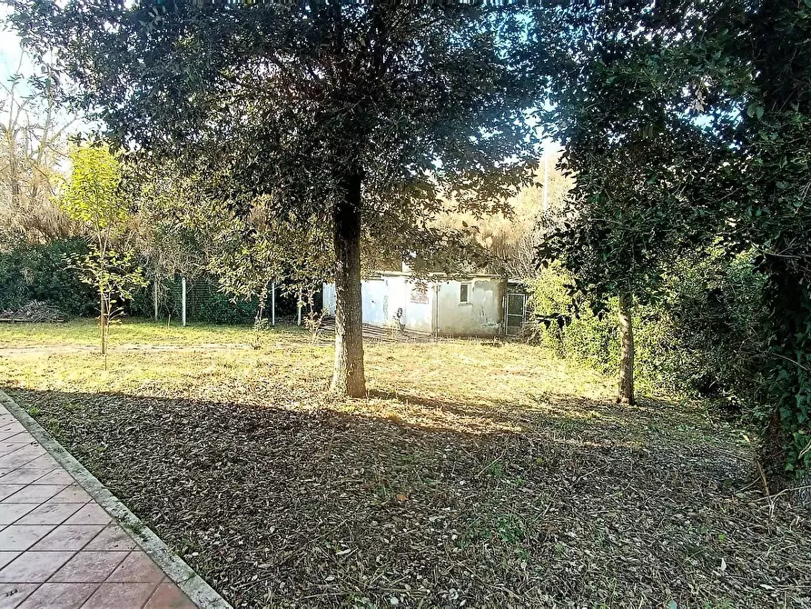 Immagine 7 di Casa indipendente in vendita  in strada provinciale 91 a Montefiore Dell'aso