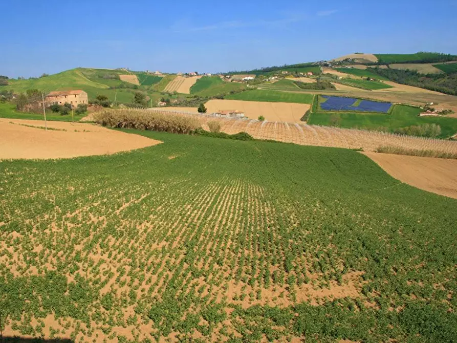 Immagine 19 di Casa indipendente in vendita  in Contrada di là di Menocchia, 63063 Carassai AP a Carassai