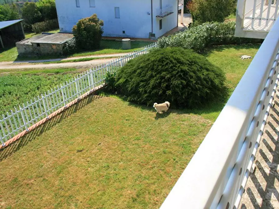 Immagine 21 di Casa indipendente in vendita  in Contrada di là di Menocchia, 63063 Carassai AP a Carassai