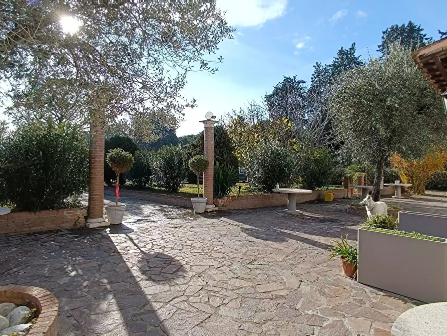 Immagine 6 di Appartamento in vendita  in val tiberina a San Benedetto Del Tronto