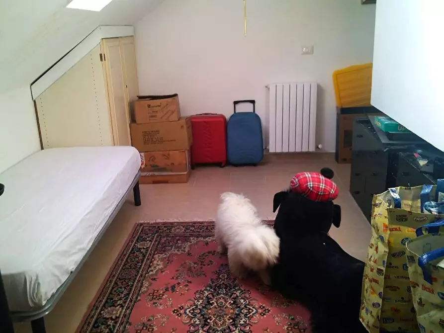 Immagine 25 di Appartamento in vendita  in san carlo a Grottammare