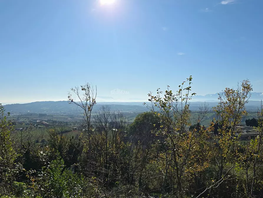 Immagine 12 di Villa in vendita  in via ignazio silone a Colonnella