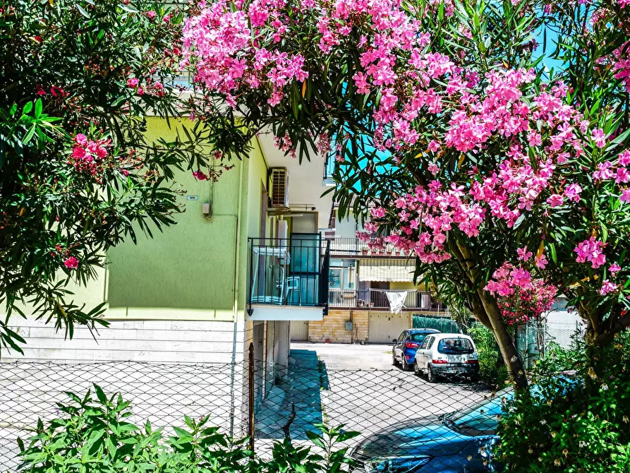 Immagine 27 di Appartamento in affitto  in Via Fanfulla da lodi a San Benedetto Del Tronto