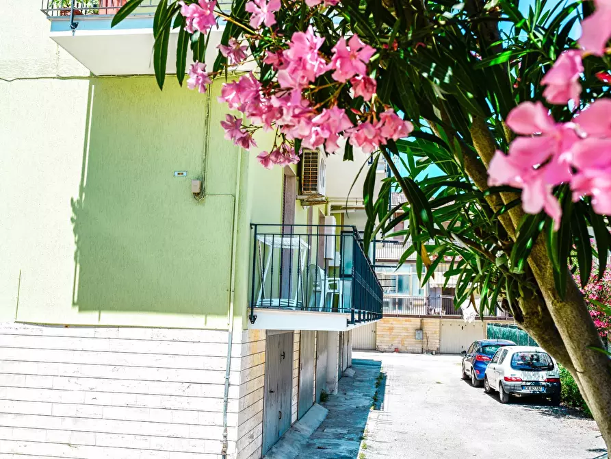 Immagine 28 di Appartamento in affitto  in Via Fanfulla da lodi a San Benedetto Del Tronto