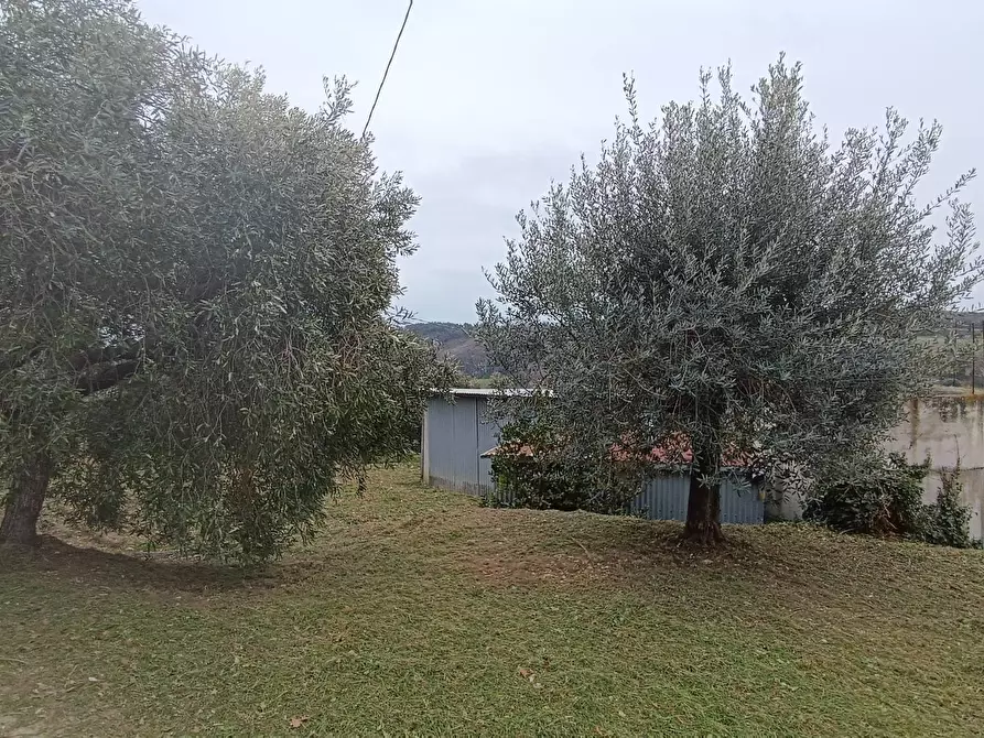 Immagine 1 di Terreno agricolo in vendita  in Via Barbolano a Altidona