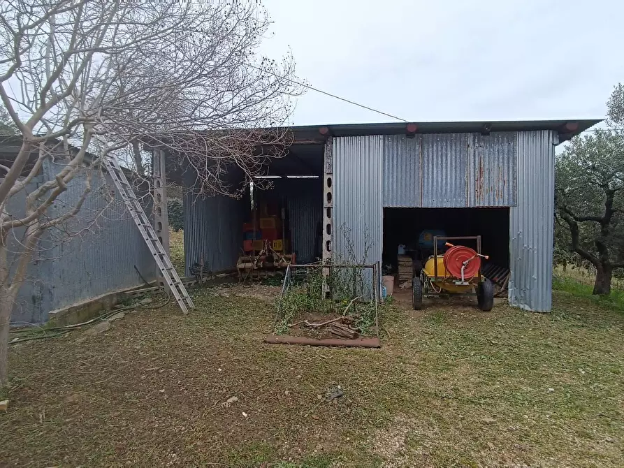 Immagine 3 di Terreno agricolo in vendita  in Via Barbolano a Altidona
