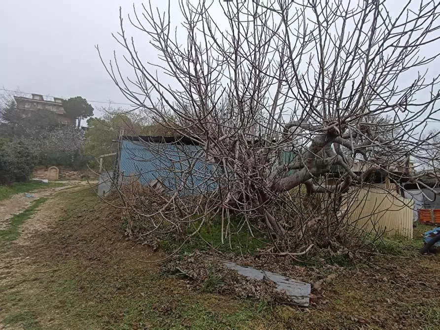 Immagine 6 di Terreno agricolo in vendita  in Via Barbolano a Altidona