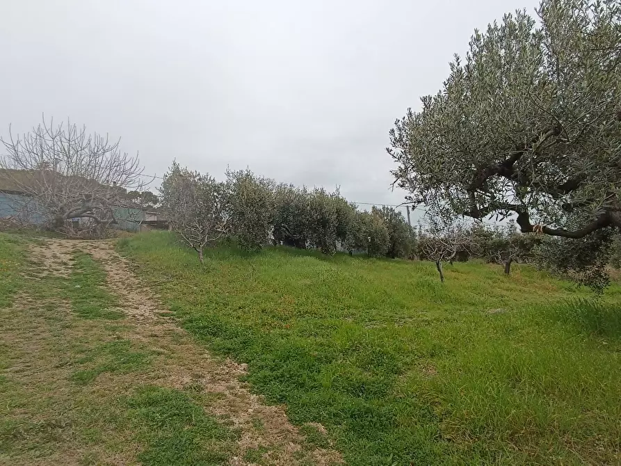 Immagine 9 di Terreno agricolo in vendita  in Via Barbolano a Altidona