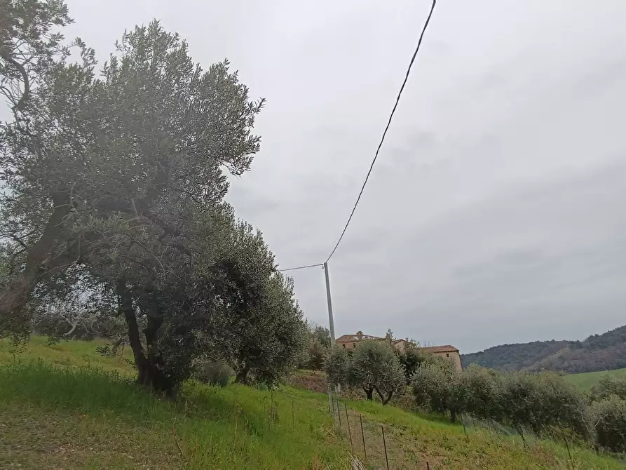 Immagine 10 di Terreno agricolo in vendita  in Via Barbolano a Altidona