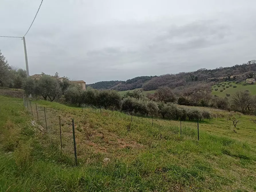 Immagine 11 di Terreno agricolo in vendita  in Via Barbolano a Altidona