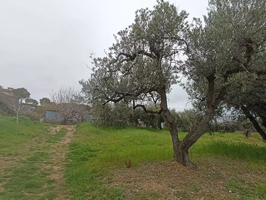 Immagine 12 di Terreno agricolo in vendita  in Via Barbolano a Altidona
