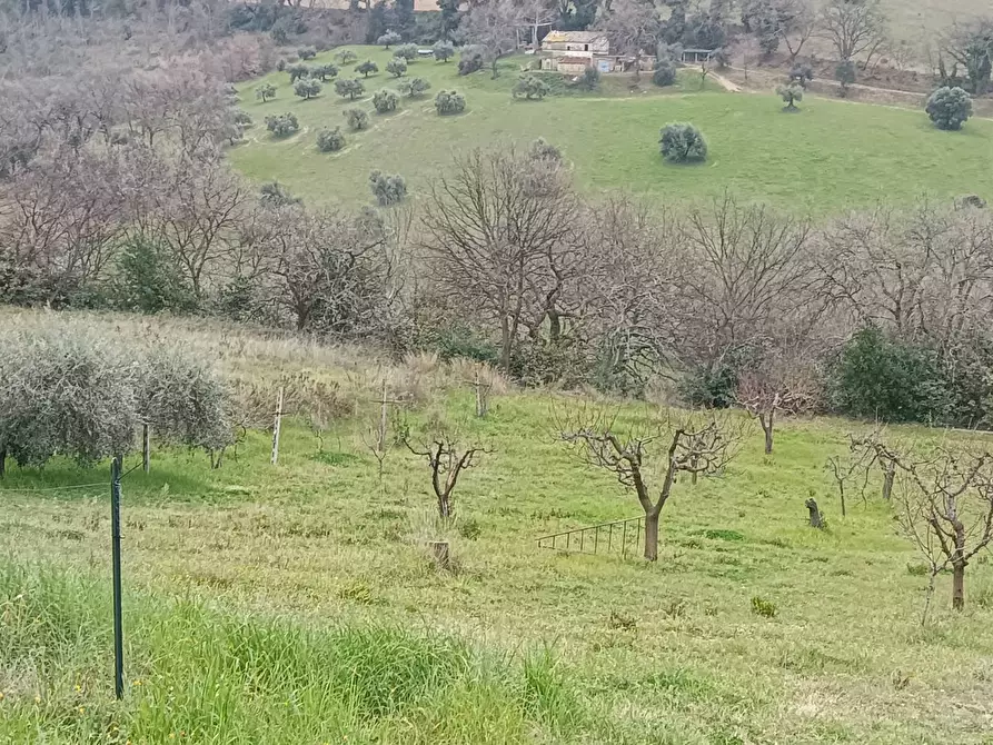 Immagine 13 di Terreno agricolo in vendita  in Via Barbolano a Altidona