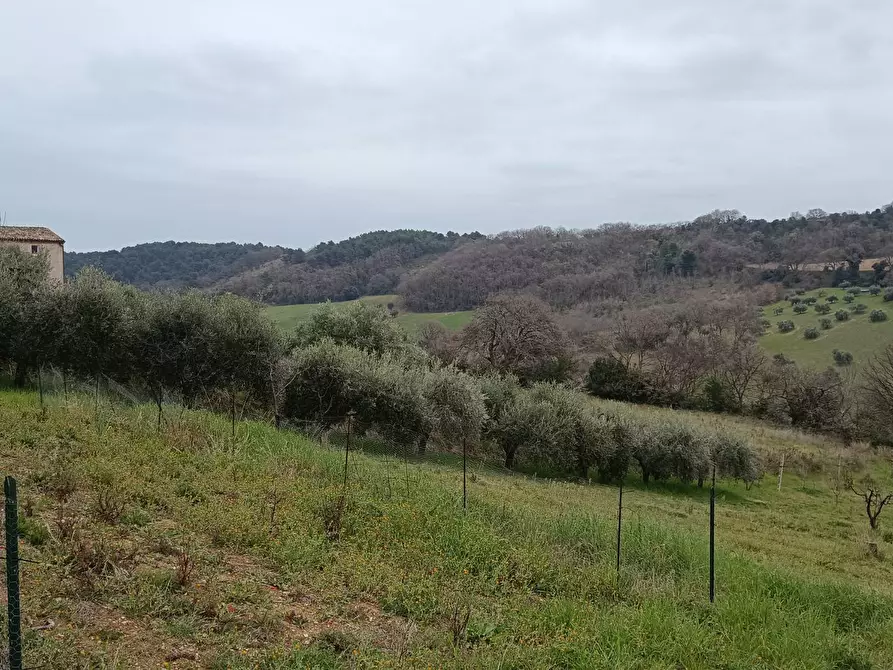 Immagine 15 di Terreno agricolo in vendita  in Via Barbolano a Altidona