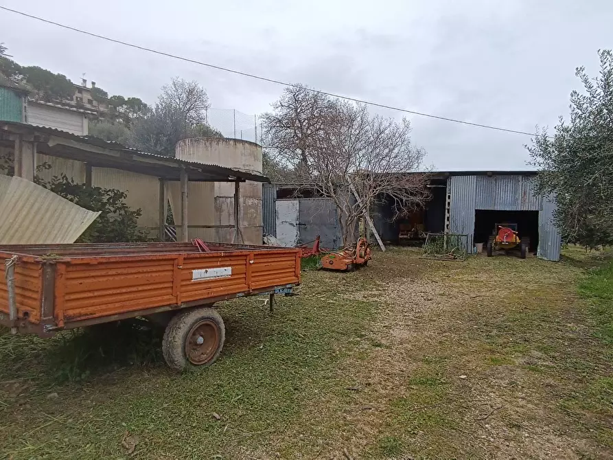 Immagine 18 di Terreno agricolo in vendita  in Via Barbolano a Altidona