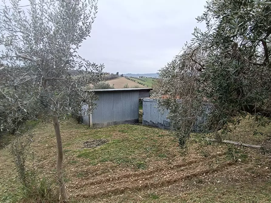 Immagine 19 di Terreno agricolo in vendita  in Via Barbolano a Altidona