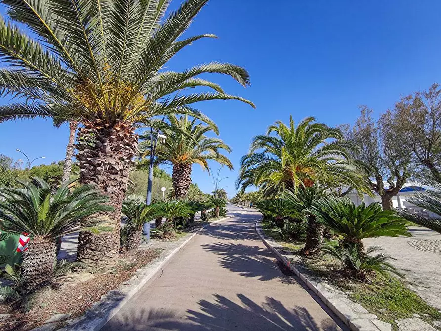 Immagine 19 di Appartamento in vendita  in Viale Europa a San Benedetto Del Tronto