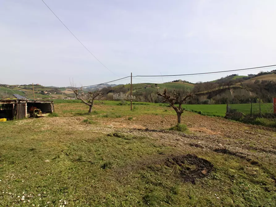 Immagine 3 di Casa indipendente in vendita  in contrada tesino a Offida