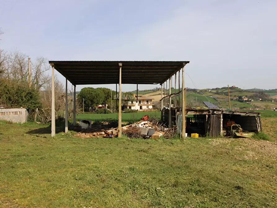 Immagine 4 di Casa indipendente in vendita  in contrada tesino a Offida
