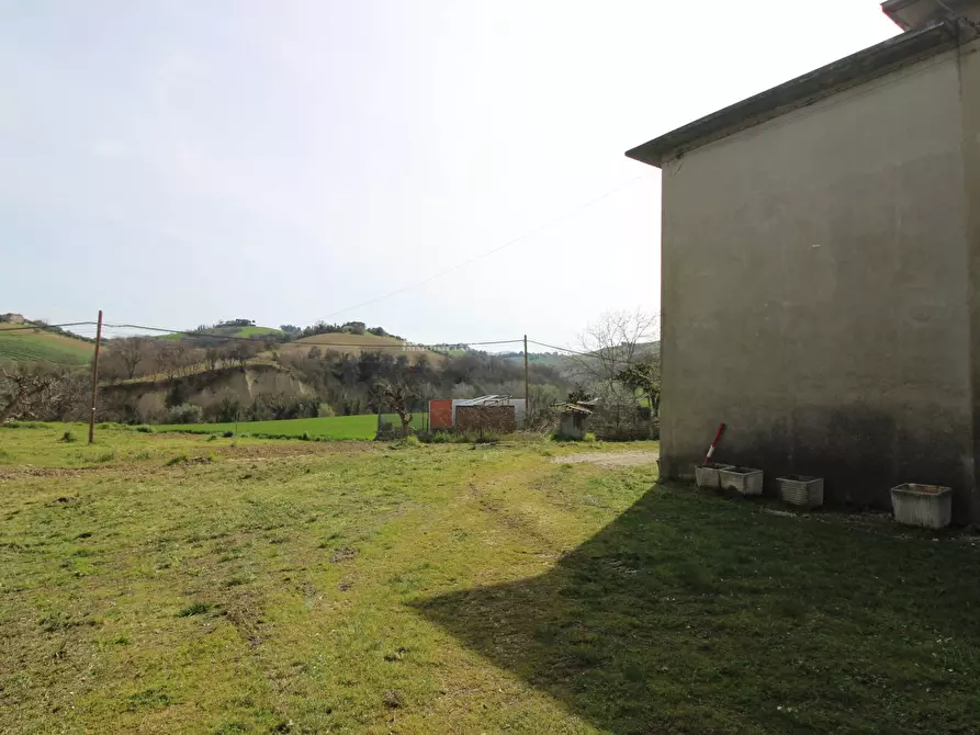 Immagine 8 di Casa indipendente in vendita  in contrada tesino a Offida
