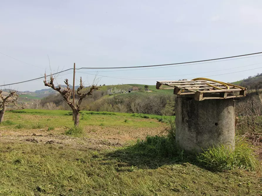 Immagine 10 di Casa indipendente in vendita  in contrada tesino a Offida