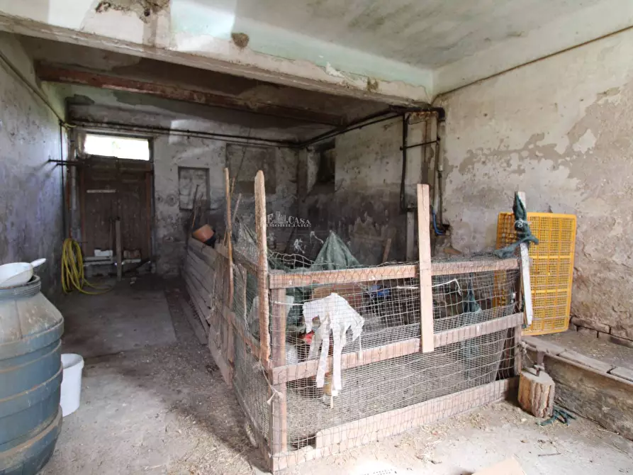 Immagine 12 di Casa indipendente in vendita  in contrada tesino a Offida