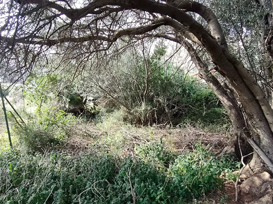 Immagine 1 di Terreno agricolo in vendita  in Via Omero a Palermo