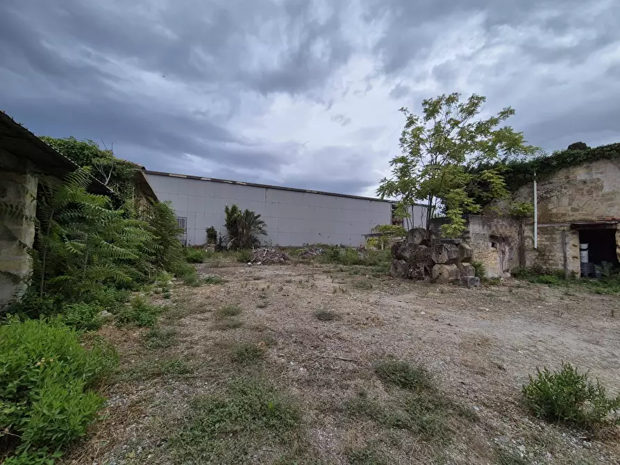 Immagine 8 di Capannone industriale in vendita  in Piazza Sant'orsola a Palermo