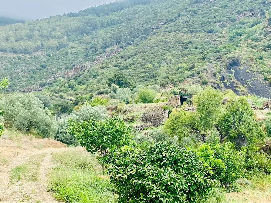 Immagine 14 di Rustico / casale in vendita  in SALINA LENI  ( ME) a Leni