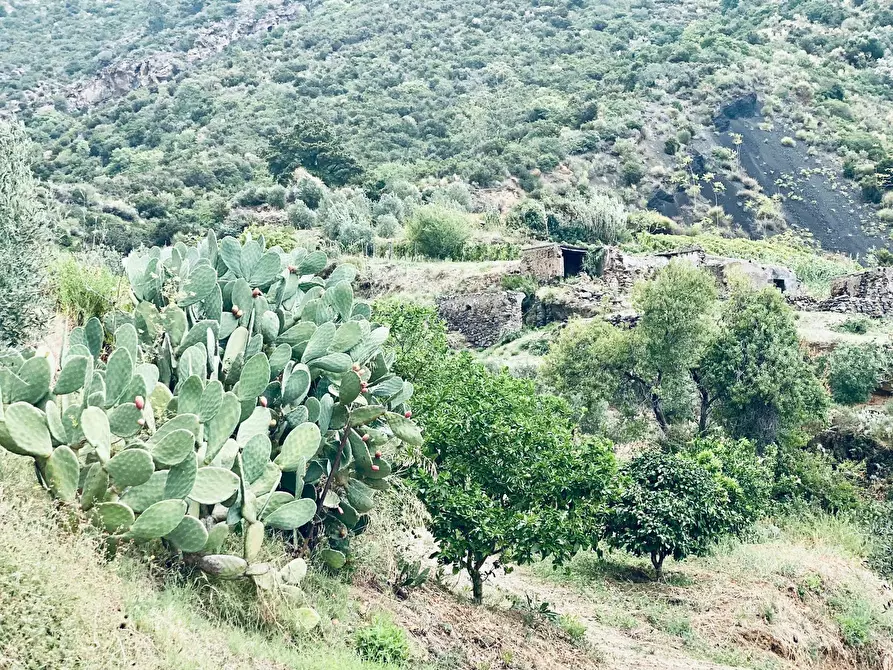 Immagine 15 di Rustico / casale in vendita  in SALINA LENI  ( ME) a Leni